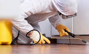 Best Termite Inspection and Treatment  in Bermuda Dunes, CA